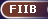 [FIIB]
