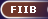 [FIIB]
